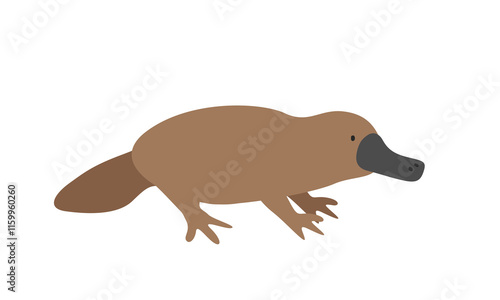 Duck-billed platypus cartoon clipart. Platypus vector illustration in flat style. Hand-drawn wild animal concept photo