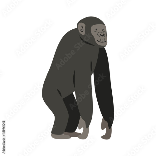 Bonobo cartoon clipart. Great ape bonobo vector illustration in flat style. Hand-drawn wild animal concept