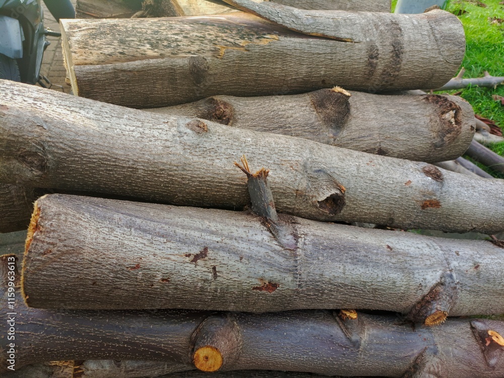 Close up of a large pile of cut down tree branches and logs, left in the city park. Close up of a large pile of cut down tree branches and logs, left in the city park.
