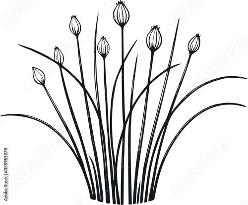 set of chives