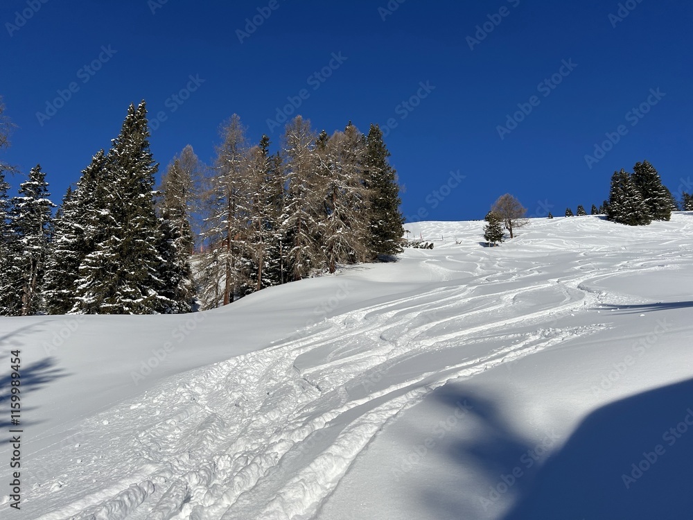 Fototapeta premium Wonderful winter hiking trails and traces in the fresh alpine snow cover of the Swiss Alps and over the tourist resort of Davos - Canton of Grisons, Switzerland (Kanton Graubünden, Schweiz)