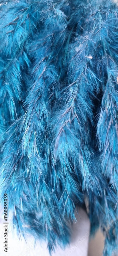 Obraz premium blue background feather