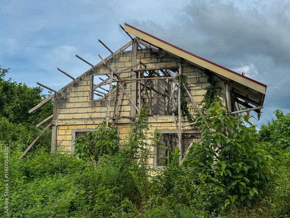 Fototapeta premium Abandoned rural house overgrown with plants under a cloudy sky