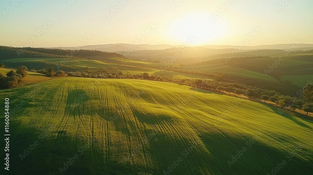 Sunlit rolling green hills at sunset. Sunlit rolling green hills at sunset.