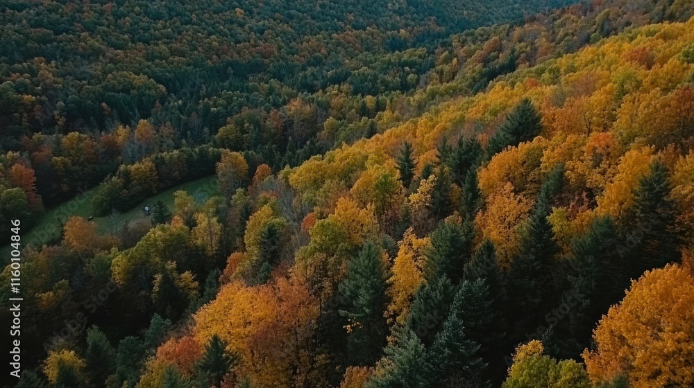 Aerial view of autumn forest with vibrant foliage, showcasing diverse tree colors and a valley. Aerial view of autumn forest with vibrant foliage, showcasing diverse tree colors and a valley.