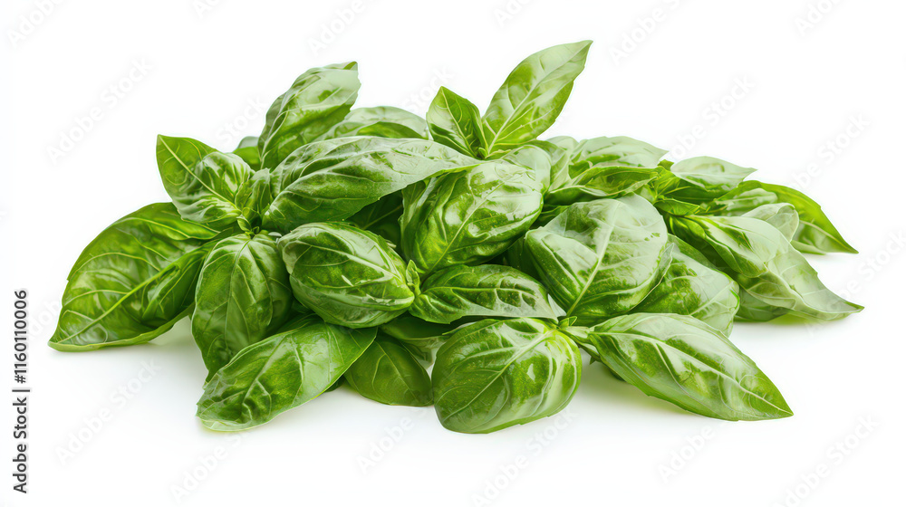 A natural arrangement of vibrant green basil leaves, each with prominent veins and a glossy finish, isolated on a white background to showcase their freshness and delicate texture.
A natural arrangement of vibrant green basil leaves, each with prominent veins and a glossy finish, isolated on a white background to showcase their freshness and delicate texture.