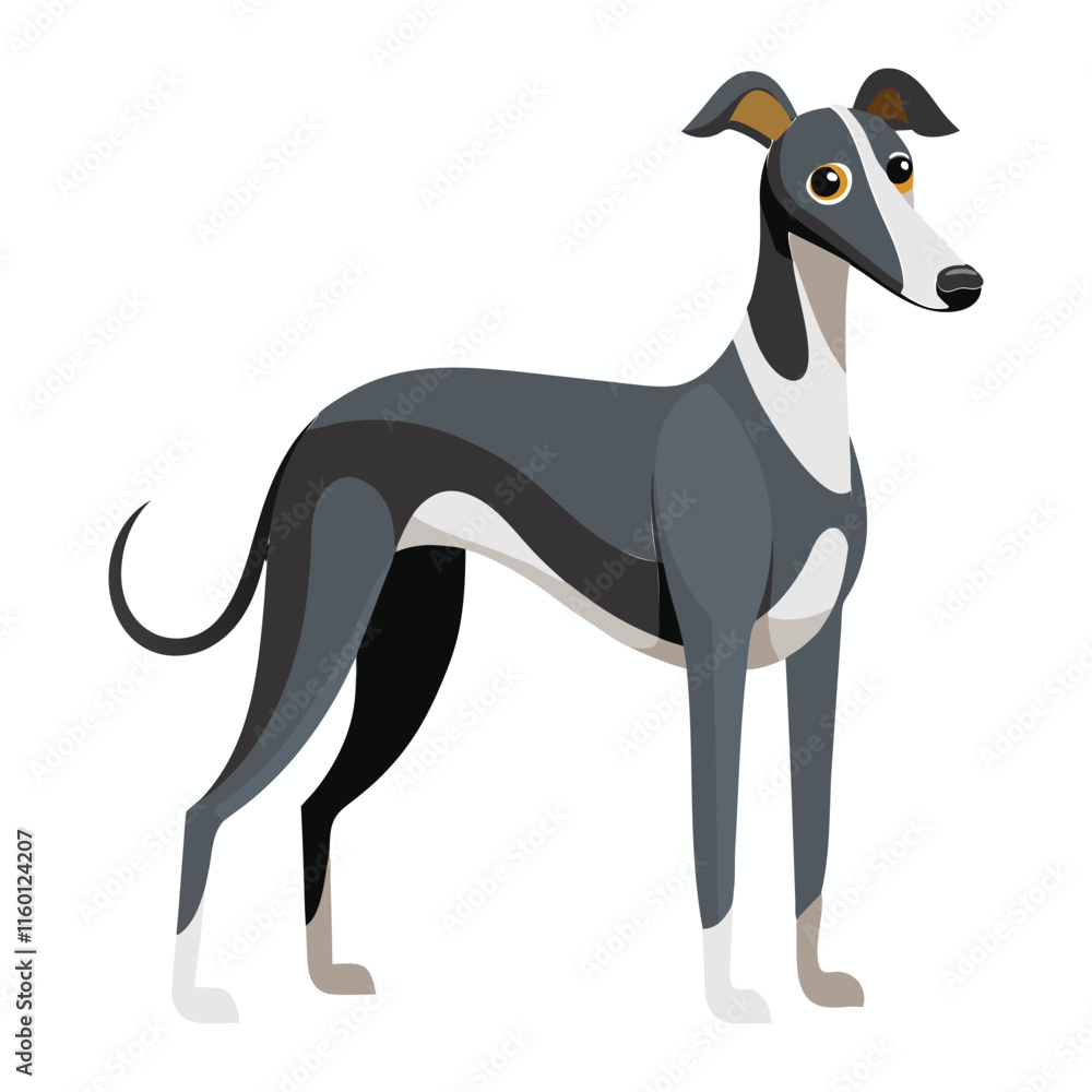 black and white dog. black and white dog.
