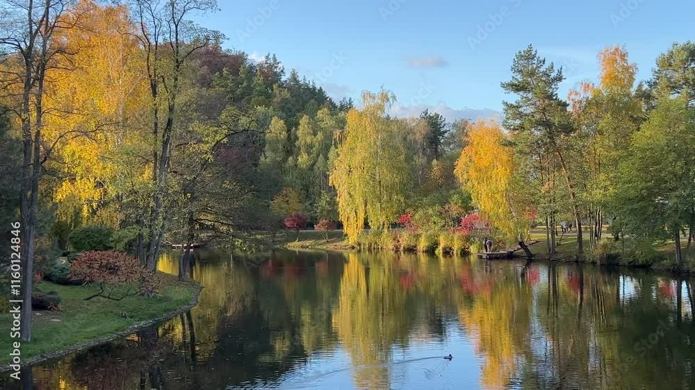 Autumn in the park. Autumn in the park.