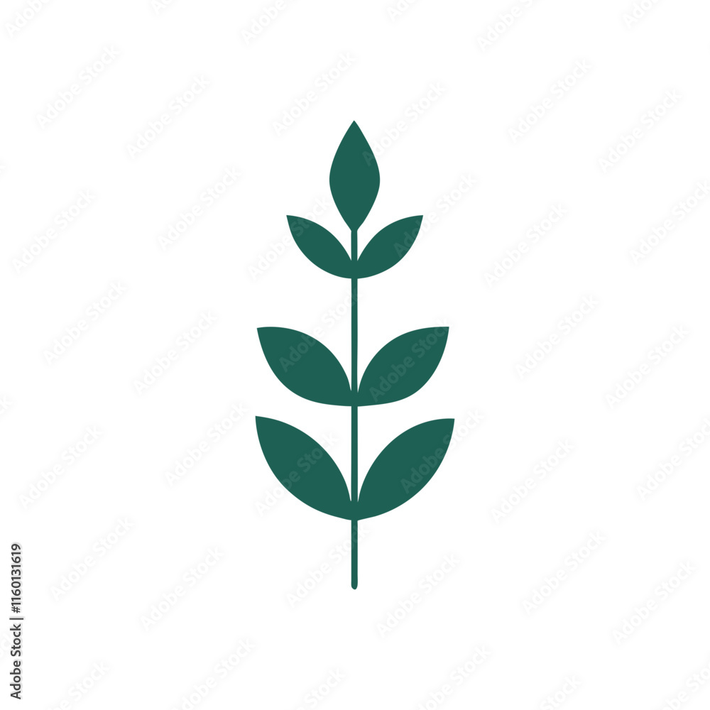 Abstract Organic Leaf Shape Abstract Organic Leaf Shape