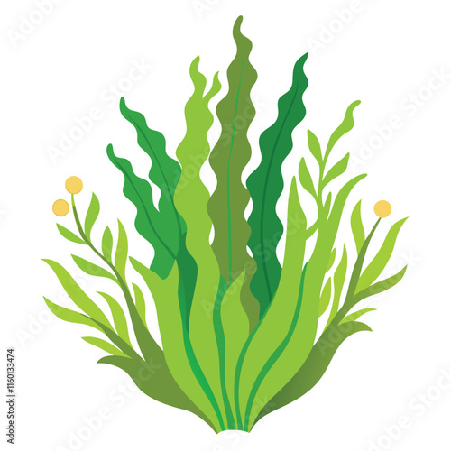 Seaweed Vector Illustration Isolated on White Background for Graphic Design and Nature Themes