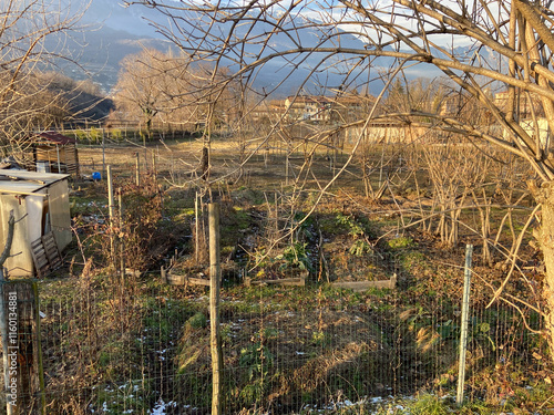 Wallpaper Mural winter in Trentino Torontodigital.ca