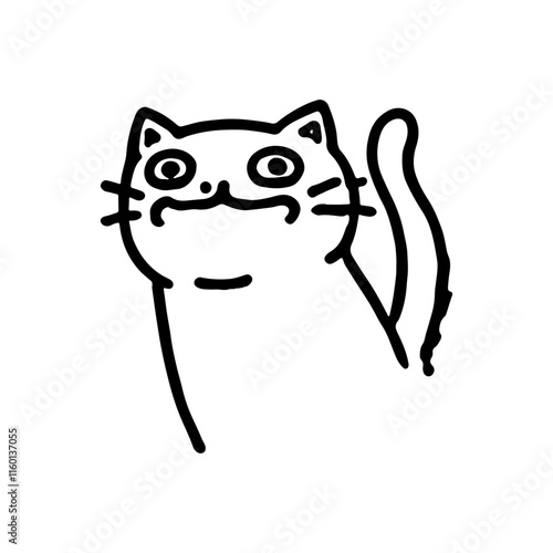 Funny Cat Face