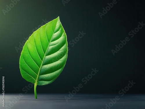 Nanotechnologyenhanced plant leaf absorbing light, glowing artificial photosynthesis process in a futuristic tech lab