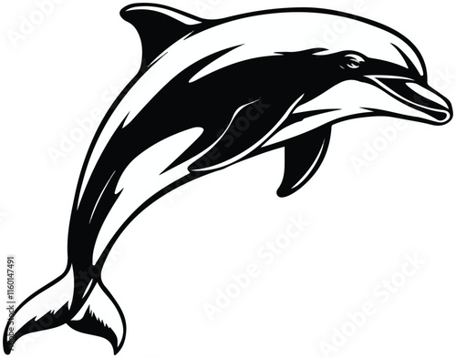 a dolphin jumping vector in the air isolated 