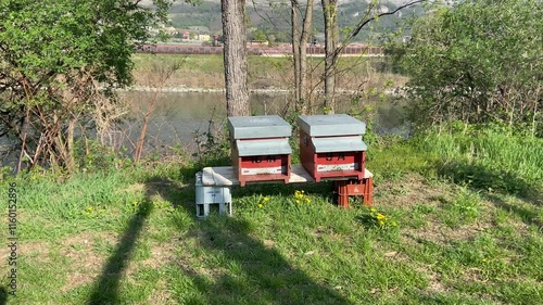 hives in Trentino, along River Adige