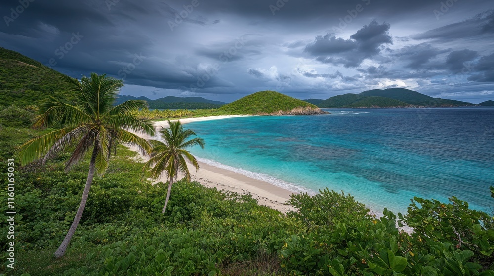 Secluded tropical beach with palm trees under dramatic sky. Secluded tropical beach with palm trees under dramatic sky.