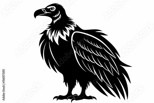 Vulture silhouette vector illustration. Vulture silhouette vector. Vulture silhouette line art
