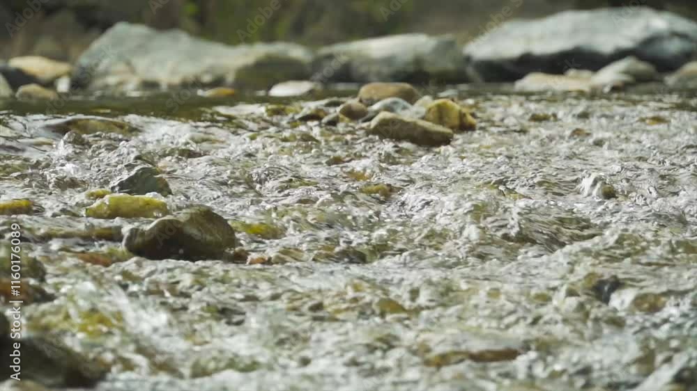 Clear mountain stream flowing over rocks in a tranquil natural setting surrounded by greenery Clear mountain stream flowing over rocks in a tranquil natural setting surrounded by greenery