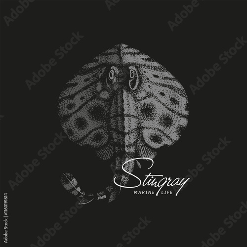 Vintage stingray illustration