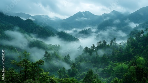 araffes in the mountains with fog and low clouds photo