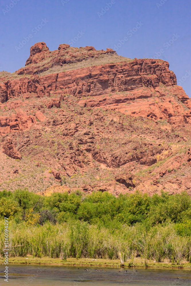 A mountain with a green forest in the foreground A mountain with a green forest in the foreground