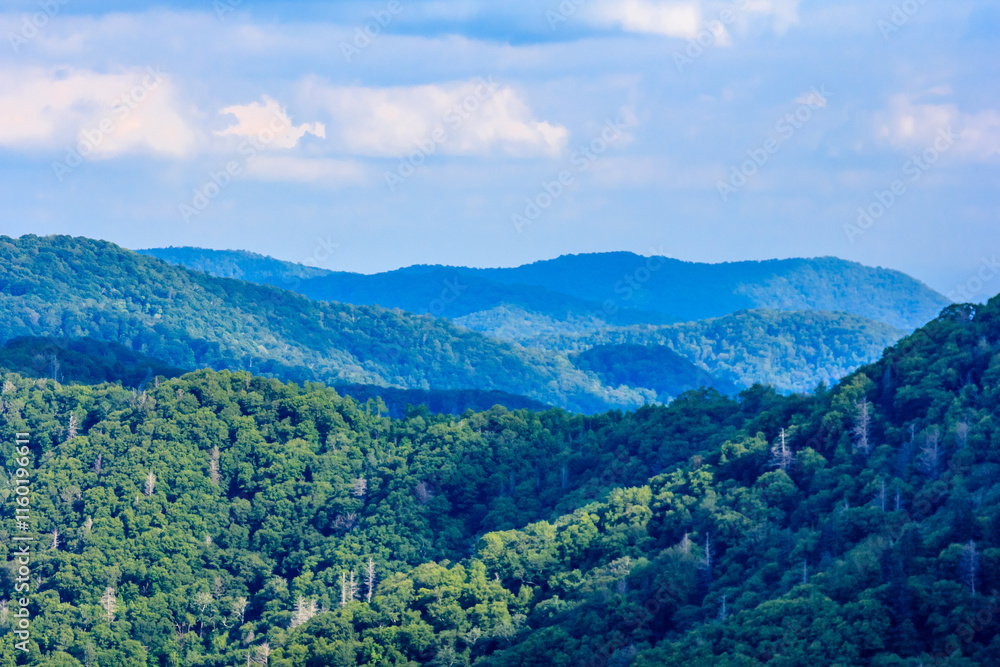 Obraz premium The mountains are covered in lush green trees and the sky is a bright blue
