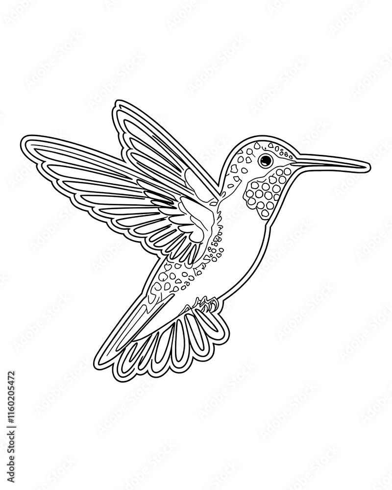 Fototapeta premium Hummingbird printable coloring page for kids, bird coloring book