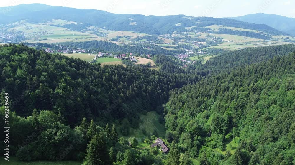 Top view of thick forest canopy Top view of thick forest canopy