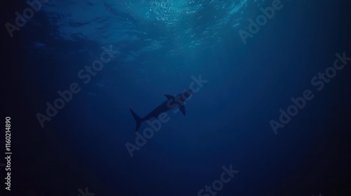 Wallpaper Mural Silhouetted shark swimming in deep ocean water, sunlight above. Torontodigital.ca