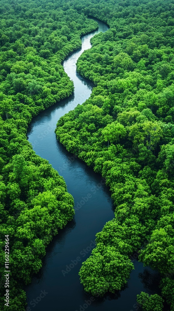 Aerial View of Serpentine River Winding Through Lush Green Mangrove Forest Aerial View of Serpentine River Winding Through Lush Green Mangrove Forest