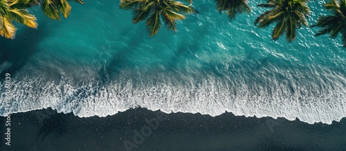 Fototapeta Naklejka Na Ścianę i Meble -  Caribbean beach view featuring black sand and tropical coconut palms with pristine turquoise waters and gentle ocean waves