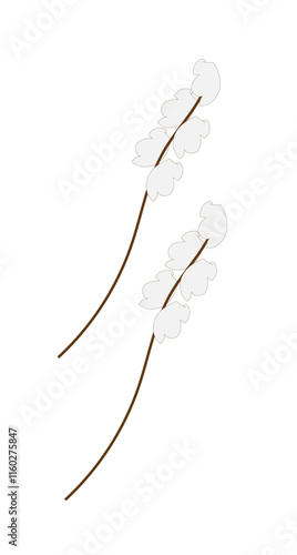 twigs with fluff on a white background,