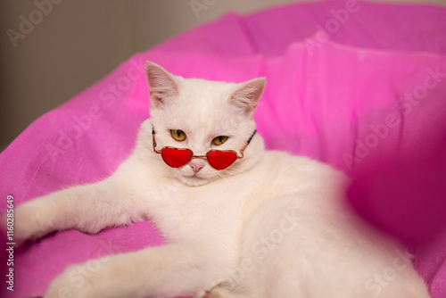 A cute white cat with heartshaped sunglasses relaxes against a bright pink background, perfect for pet lovers, Ready to celebrate Valentine's Day