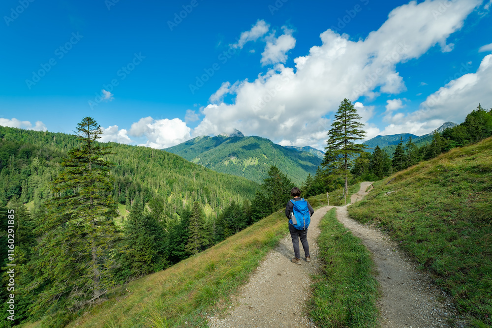 Wanderin mit Rucksack beim Aufstieg von Wildbad Kreuth zur Geißalm in den Tegernseer Bergen, Blick nach Nordwesten Wanderin mit Rucksack beim Aufstieg von Wildbad Kreuth zur Geißalm in den Tegernseer Bergen, Blick nach Nordwesten