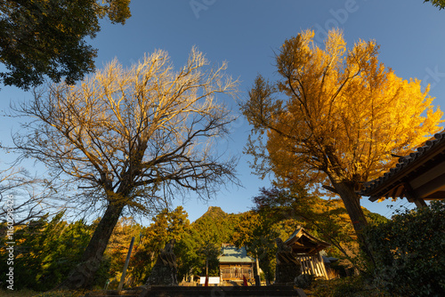伊予ヶ岳登山口