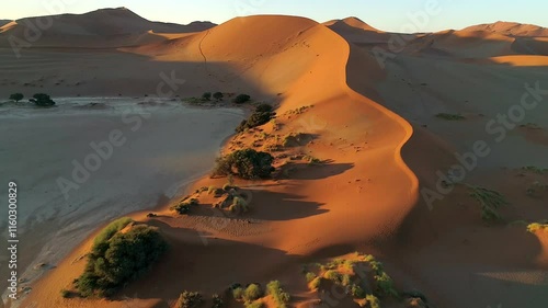 Namibian desert dunes at sunset, Aerial view