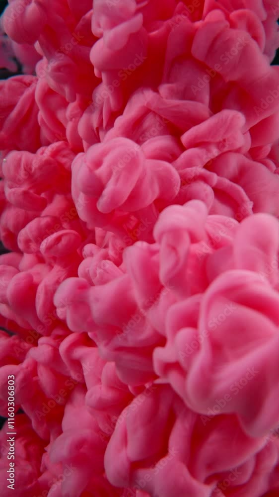 Super Slow Motion of Colored Paints Mixing in Water. Isolated on Black Background. Filmed on High Speed Cinema Camera, 1000fps. Vertical Aspect Ratio. Super Slow Motion of Colored Paints Mixing in Water. Isolated on Black Background. Filmed on High Speed Cinema Camera, 1000fps. Vertical Aspect Ratio.