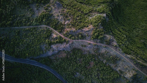 Mountain Trail Through Dense Forest