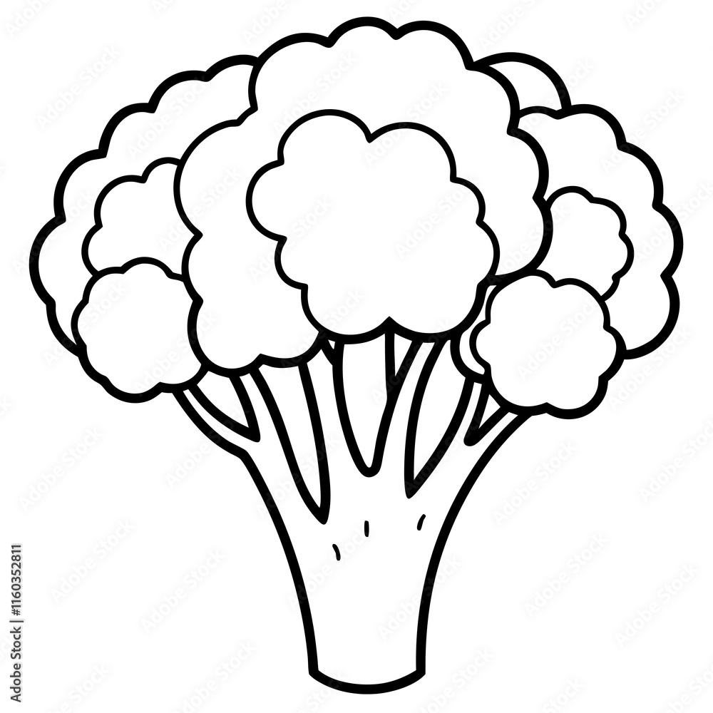 Minimalist Broccoli Outline Vector Illustration Minimalist Broccoli Outline Vector Illustration