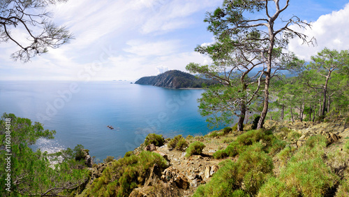 Fototapeta Naklejka Na Ścianę i Meble -  Phaselis Ancient City forest. Northern Necropolis - cemetery with elaborate tomb monuments. Turkey. Asia Minor