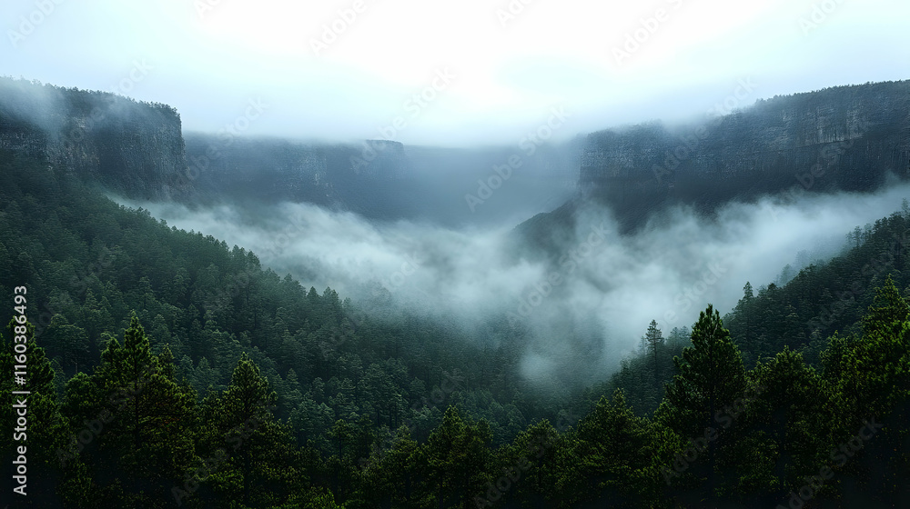 Misty Forest Valley: Fog blankets a deep valley, embracing lush green trees, with towering cliffs. Misty Forest Valley: Fog blankets a deep valley, embracing lush green trees, with towering cliffs.