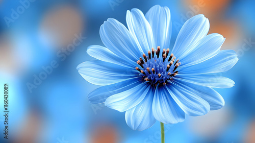 Wallpaper Mural Photo - Blue Flower Bloom, Petals, Blossom, Nature, Floral, Spring, Garden, Botany, Plant, Growth Torontodigital.ca