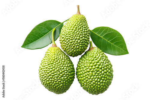 Marang fruit with textured skin and green leaves, isolated on white transparent background. Concept of tropical fruits. photo