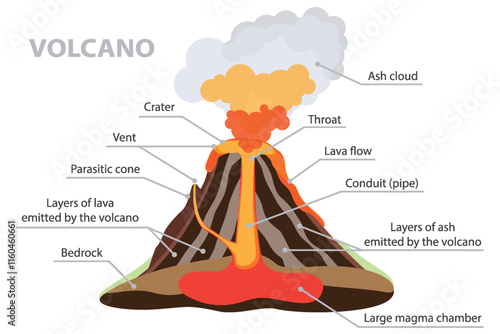 Volcanic eruption. Educational poster of volcano cross section. Ash cloud, crater, throat, conduit, lava flow, magma, vent, bedrock and layers of ash.
