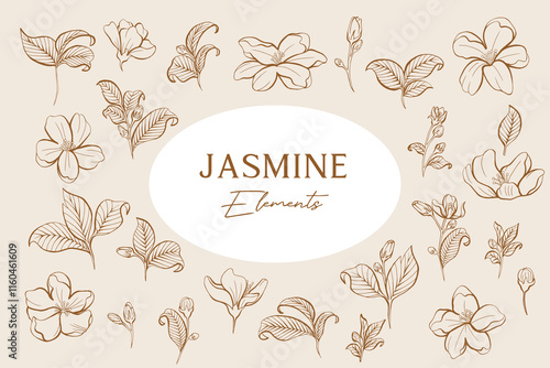 Set of Jasmine Line Art Elements