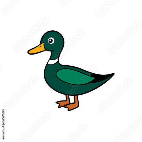 duck