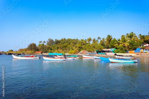 Boats at the Colomb Beach in Goa, India photo