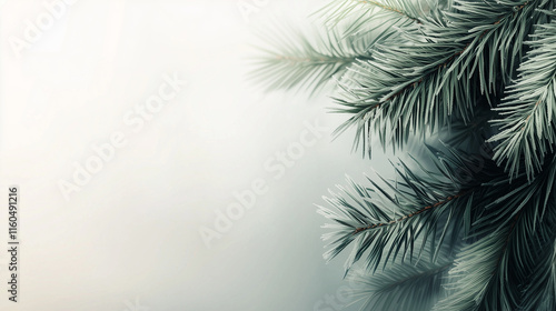 A detailed Christmas banner with a close-up of fluffy fir branches, their natural dark green tones blending harmoniously with soft shadows and hints of frosty highlights.