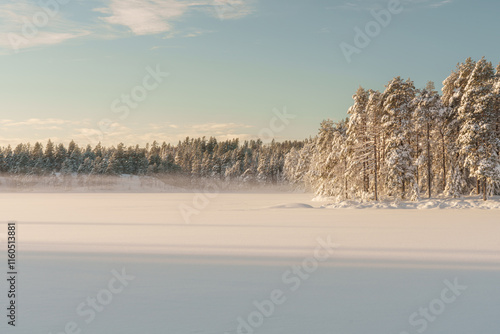 Wallpaper Mural A Serene and Beautiful Winter Landscape Featuring SnowCovered Trees and a Frozen Lake in Sweden Torontodigital.ca
