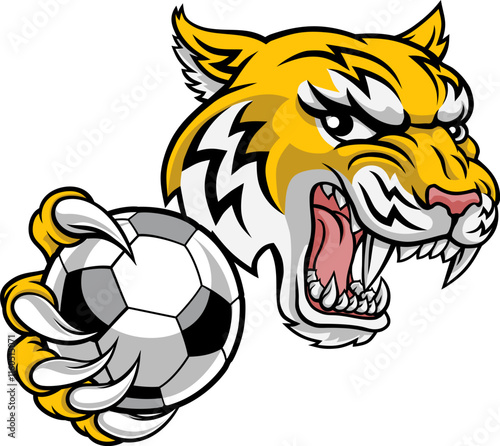 A wildcat or bobcat lynx bobcats wildcats sports team soccer football ball mascot